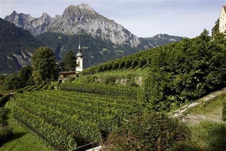 Weingut zum Rosenberg