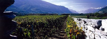 Domaine des Crêtes, Noës