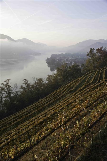 Tenuta San Giorgio, Cassina d'Agno