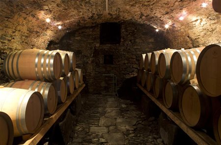 Cantina Settemaggio, Monte Carasso