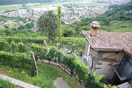 Cantina Monti, Ronchi di Cademario