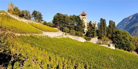 Denis Mercier, Sierre