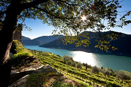 Tessin Tessin